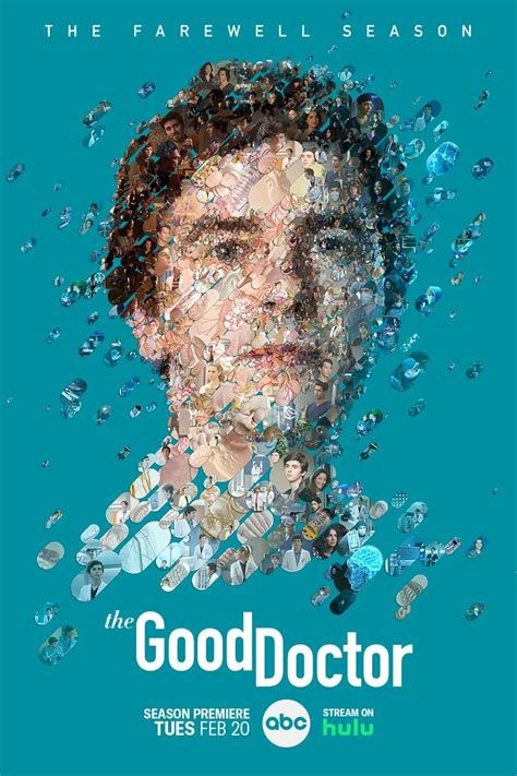 the good doctor imdb|abc the good doctor season 7.